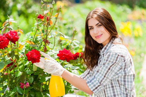 Investigator reviewing garden work on site