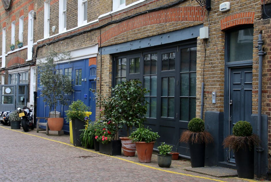 A row of quaint brick terraced houses on a cobblestone street, featuring a variety of potted plants and garden features in front of the entrances. The plants include a small olive tree in a large terr