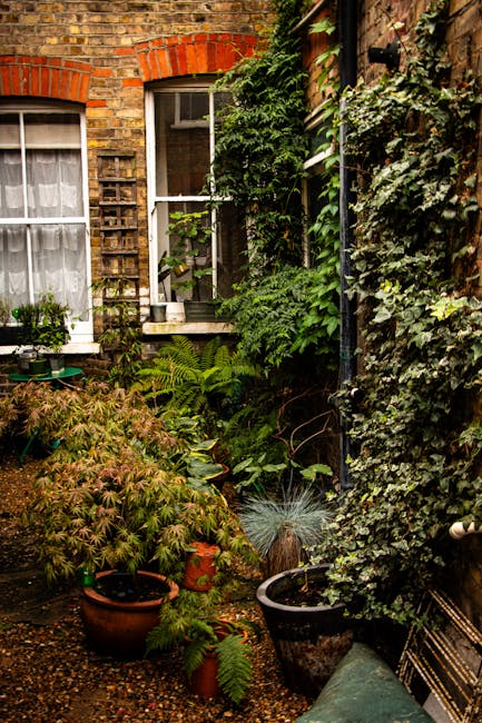 A row of quaint brick terraced houses on a cobblestone street, featuring a variety of potted plants and garden features in front of the entrances. The plants include a small olive tree in a large terr