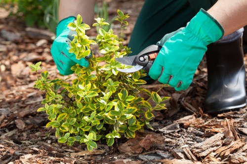 Bayswater garden design and installation